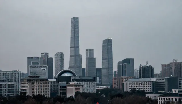 软件维护策略：优化使用与维护的建议